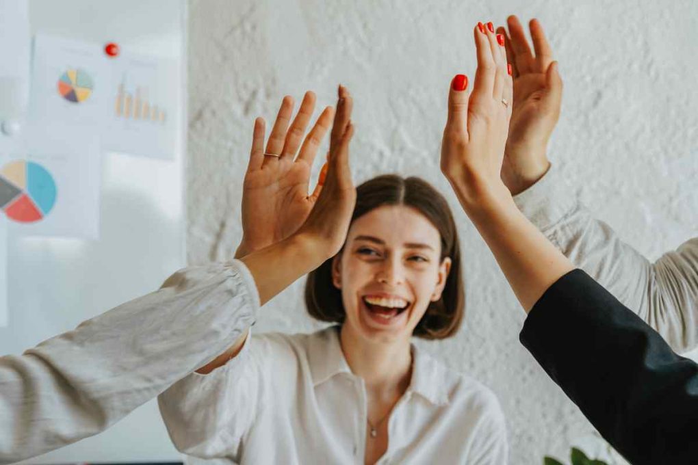 plan de carrera profesional