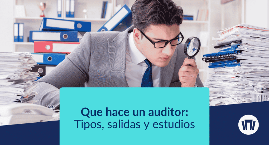 que hace un auditor