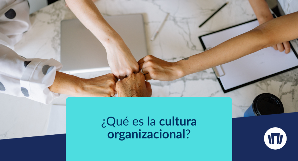 ¿Qué es la cultura organizacional?