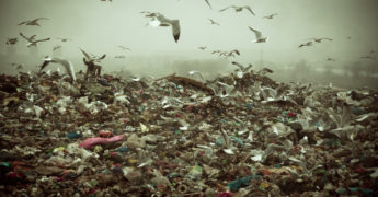 contaminación marina