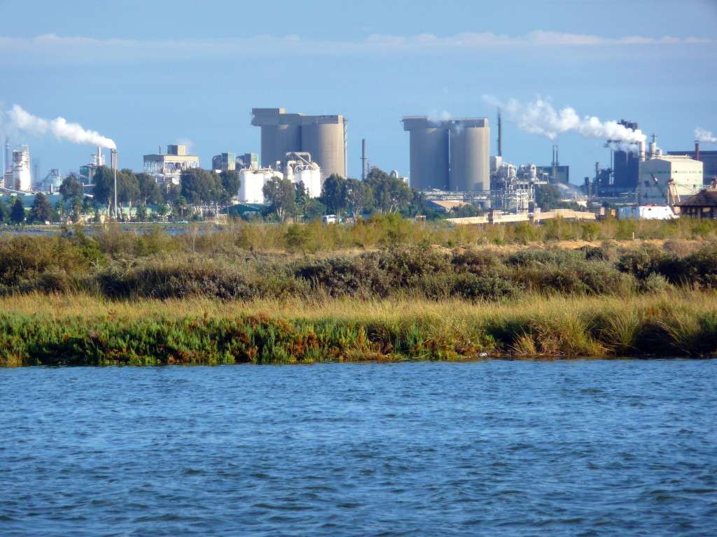 estudio de Impacto Ambiental