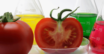 fraude alimentario INESEM