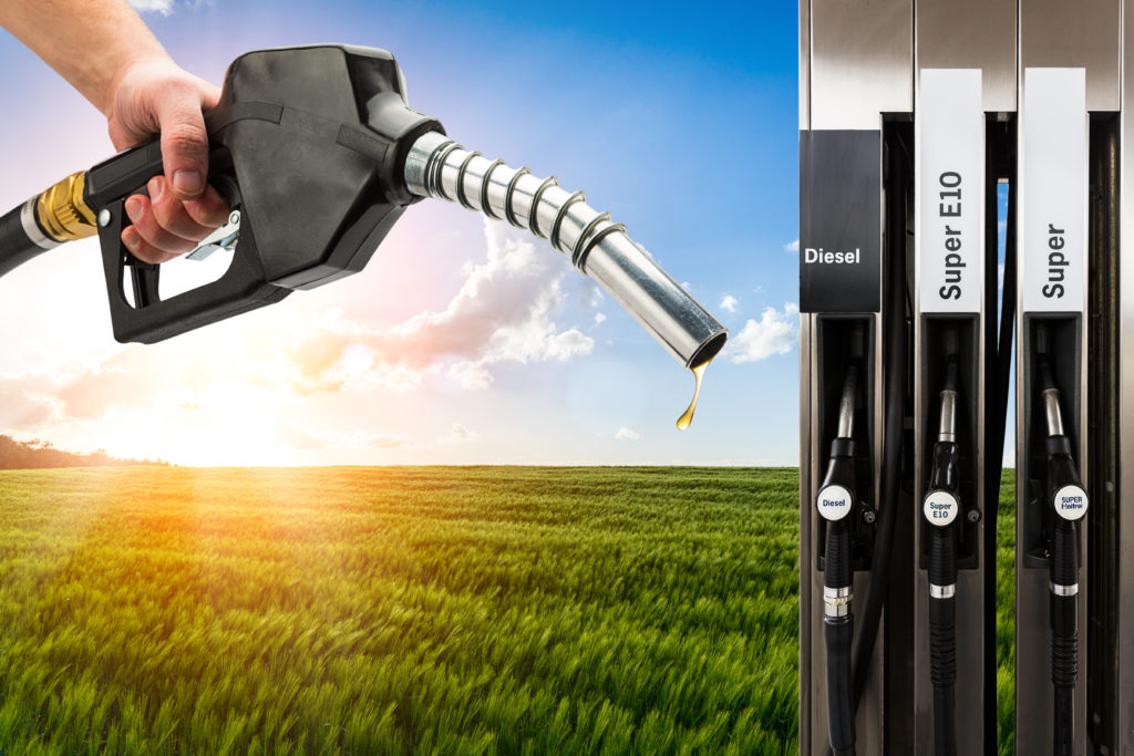 biocarburantes - inesem