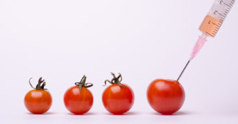 Te explicamos qué es el bioterrorismo y la importancia del Food Defense