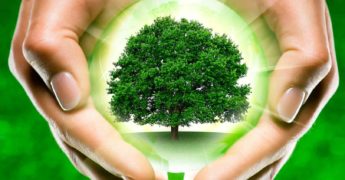 Todo lo que debes saber sobre el sistemas de endoterapia