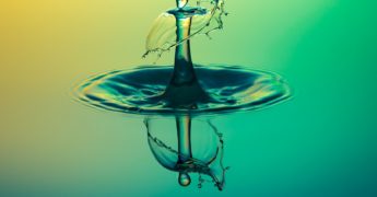 La gestión sostenible del agua es de vital importancia para conservar un buen estado de los ecosistemas