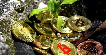 Por qué las criptomonedas son prejudiciales para el medio ambiente