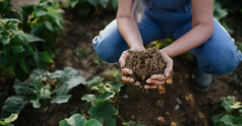 La clave contra el cambio climático: agricultura regenerativa