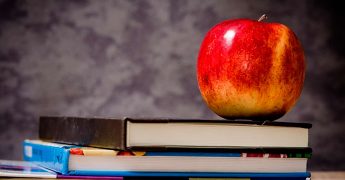 como trabajar de profesor de español en francia