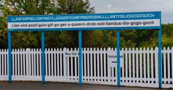 las 5 palabras más largas del mundo