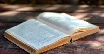 palabras más raras del español