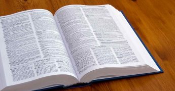 americanismos en el español