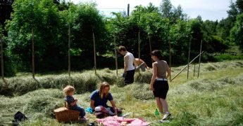 palabras sin traducción