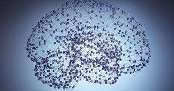 Cerebro en forma: aprende un segundo idioma