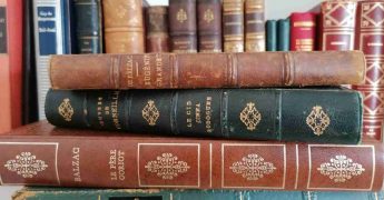 comprensión lectora en francés