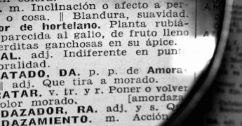 palabras aceptadas por la rae