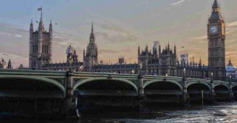 diferencia entre much y many