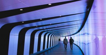 Profesiones del futuro