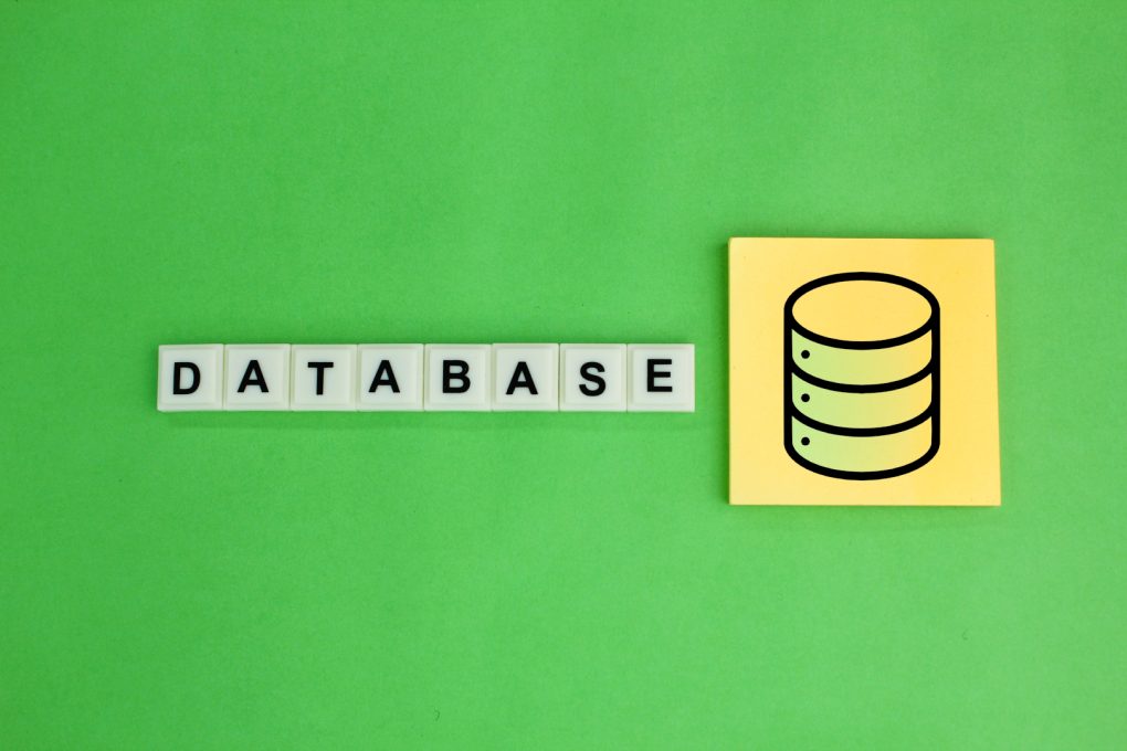 Portaza normalizacion