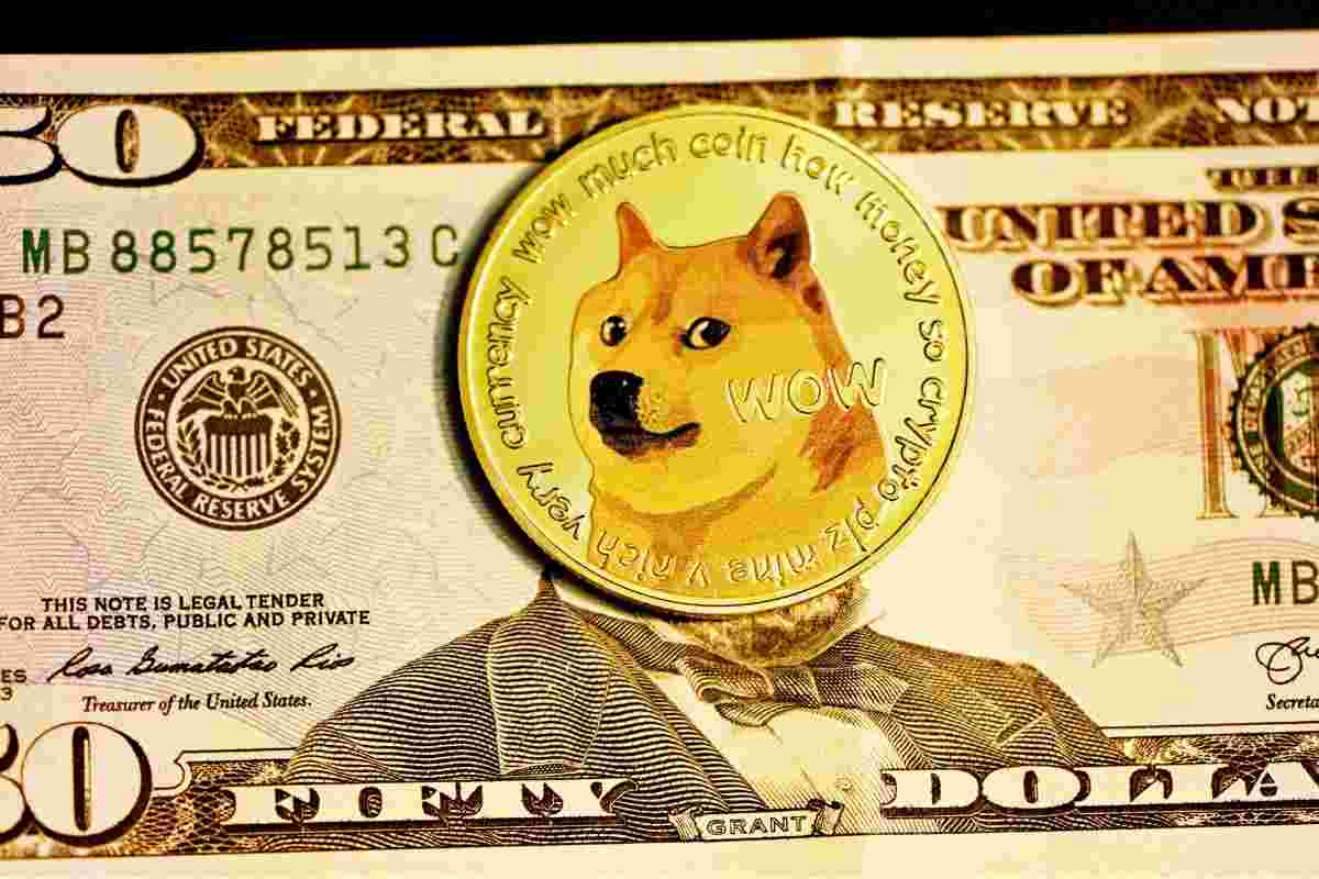 Diferencias entre Bitcoin y Dogecoin: ¿Por cuál apostar?
