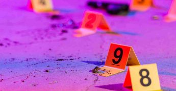 Crimen organizado en España