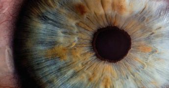 Worldcoin y el escaneo del iris