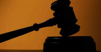 Principios de igualdad, mérito y capacidad