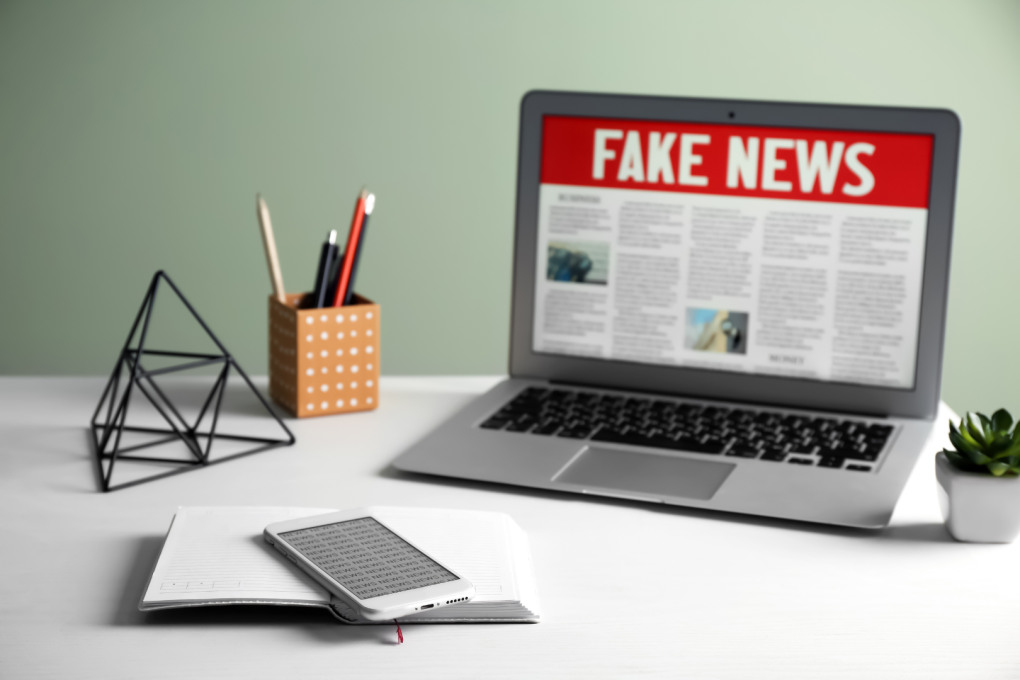 Plan de acción Fake news