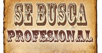 descubre los perfiles laborales mas demandados 2013