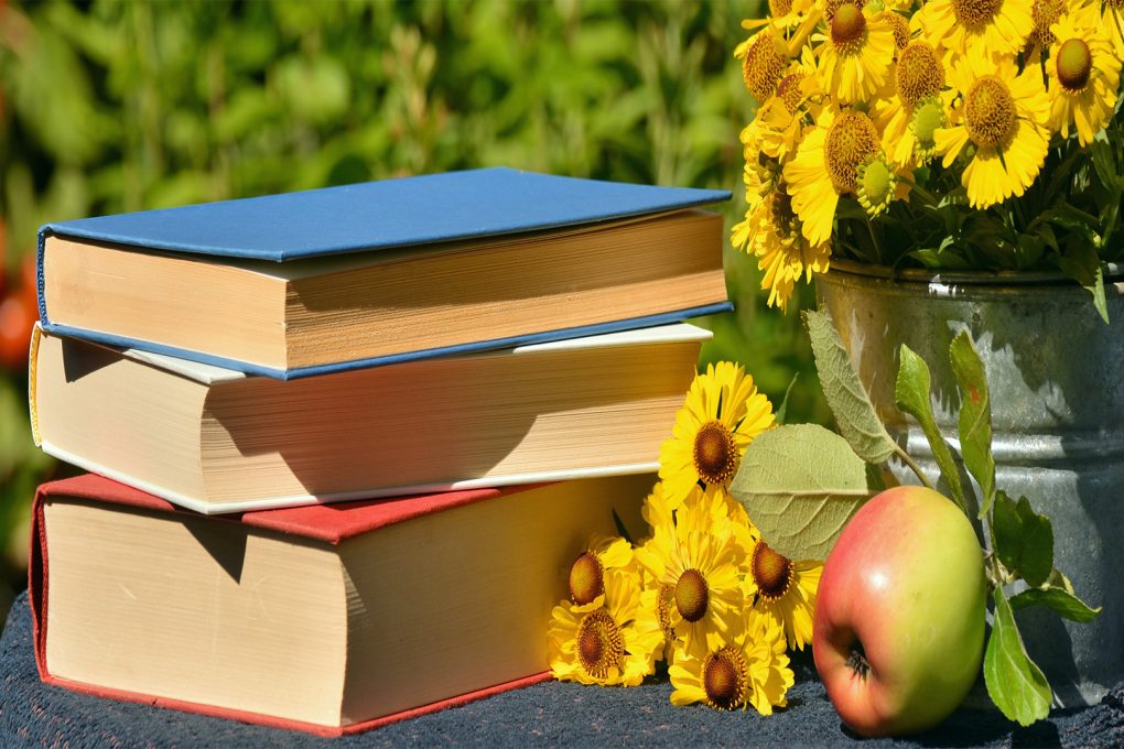 Diferencia entre máster oficial y propio