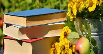 Diferencia entre máster oficial y propio